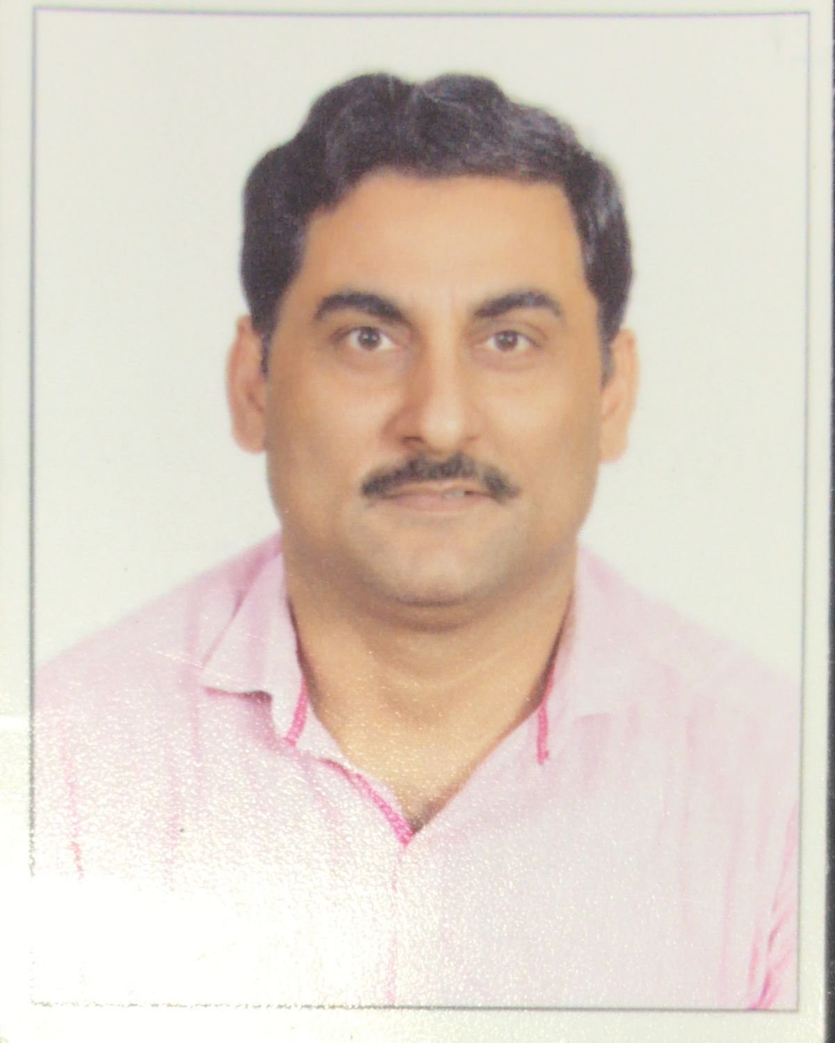 Tutor Profile